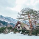 Cottages in Murree