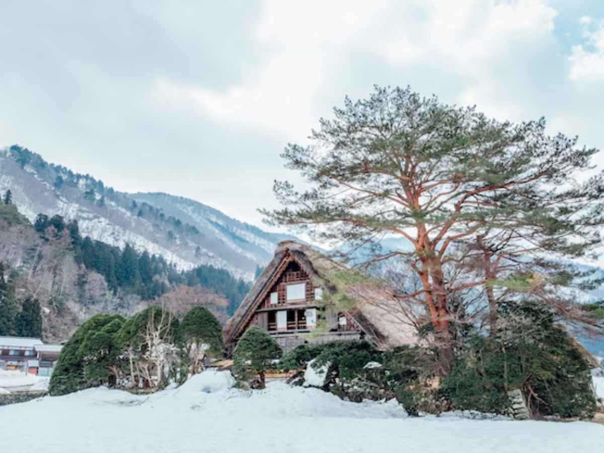 Cottages in Murree